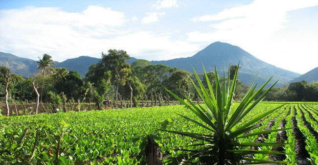 Volcán Chingo entre Guatemala y el Salvador