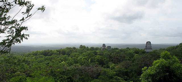 Guía para llegar a Tikal desde México vía terrestre