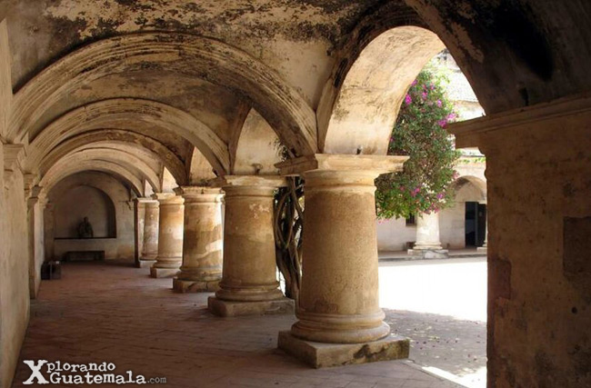 Capuchinas Capuchinas