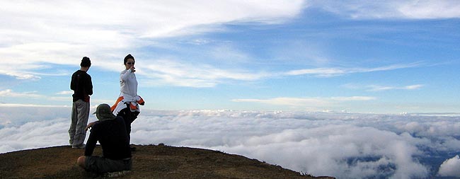 Explorando las emociones