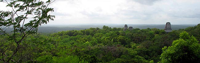 Viajando a Tikal