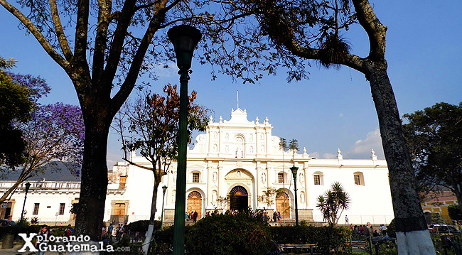 catedral de san josé