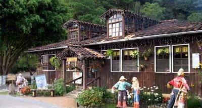 Café La Granja en Alta Verapaz