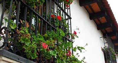 Geranios, flores en el Balcón