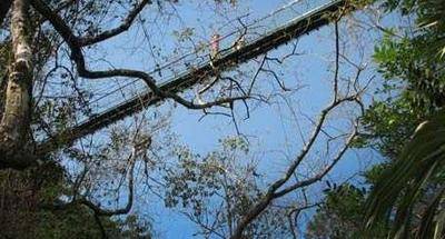 Puentes colgantes en Guatemala