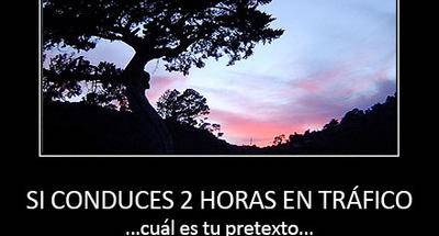 Cuánto tiempo conduces en la ciudad