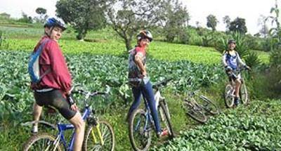 Ciclismo de montaña