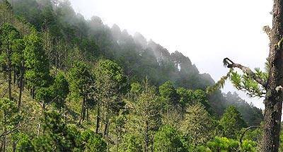 Ascenso al volcán Acatenango