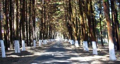 Parque ecológico de Florencia