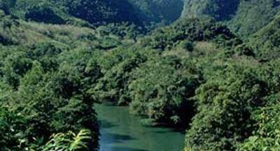 Mosquitos, malaria y el uso de repelente en Guatemala