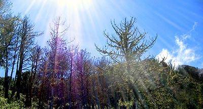 El montañismo es una forma de vida