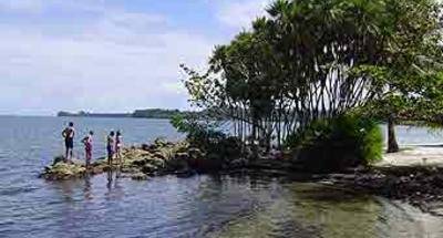 Todo salió mal y eso fue lo divertido