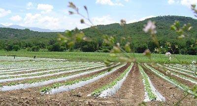 Viajando al Oriente de Guatemala