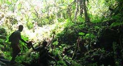Cueva de las dos horas en Finca Ixobel, Petén