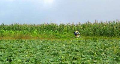 Ruta de mountain bike en San Lucas