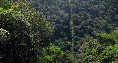Así se ve la frontera con Guatemala y El Salvador