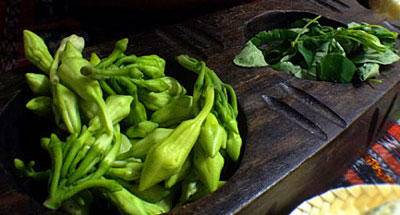 El Loroco, gastronomía guatemalteca