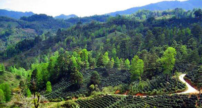 Razones por las que vivir en Guatemala es una bendición