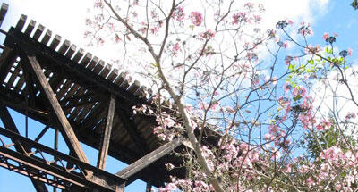 El potencial de un tren turístico en Guatemala