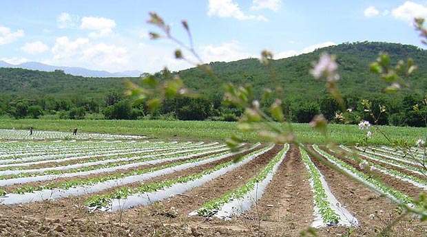 - Viajando al Oriente de Guatemala
