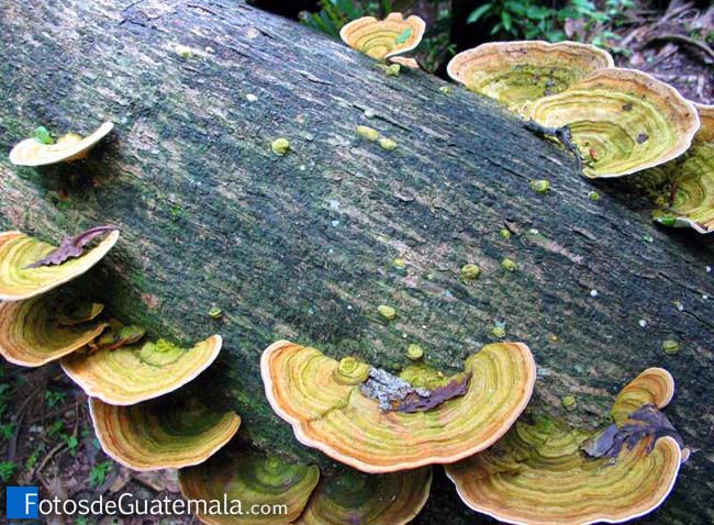 Las mejores fotografías que NO pude tomar