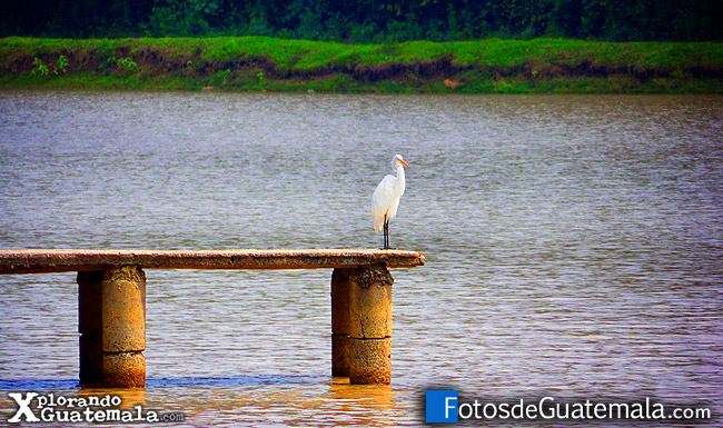 - Alas por la tarde cerca de la ciudad