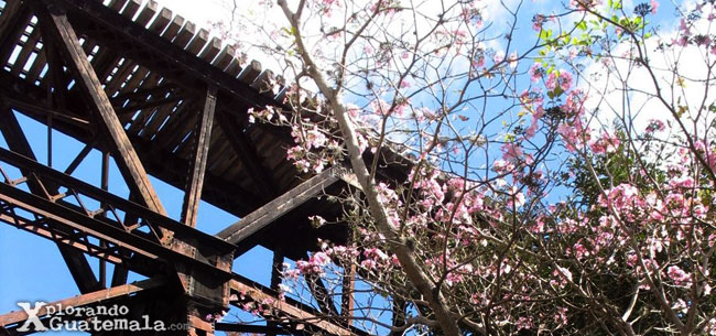 El potencial de un tren turístico en Guatemala