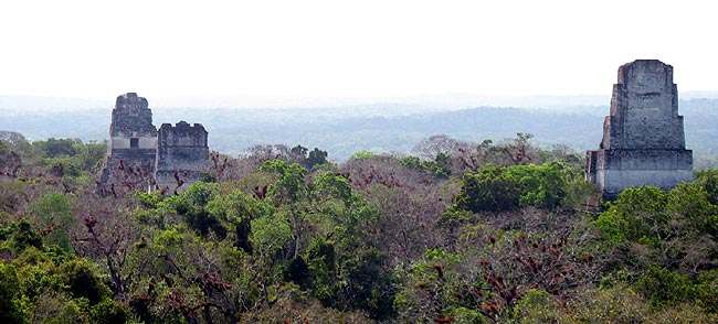 Nace la civilización maya