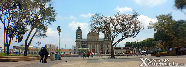Portal de la Sexta Avenida - vista de la Catedral Metropolitana