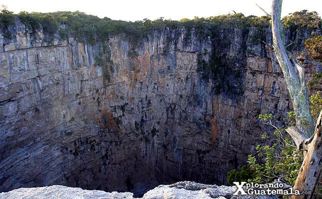 - Cimarron Guatemala