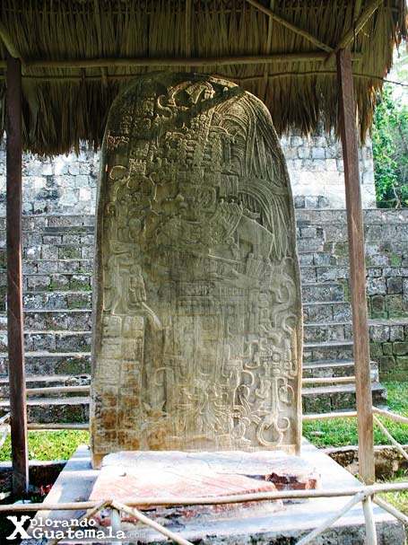 Ceibal y sus estelas mayas / foto 3