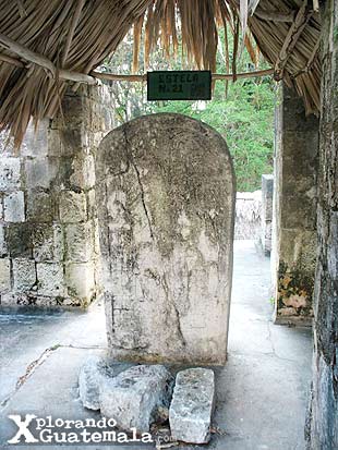 Ceibal y sus estelas mayas / foto 4