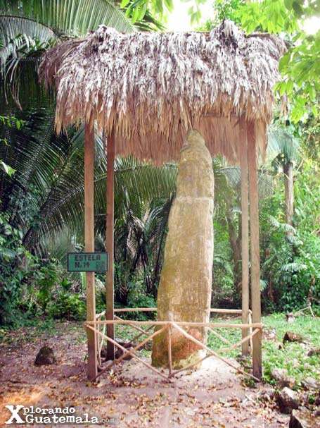 Ceibal y sus estelas mayas / foto 5