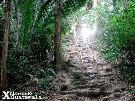 Ceibal y sus estelas mayas / foto 7
