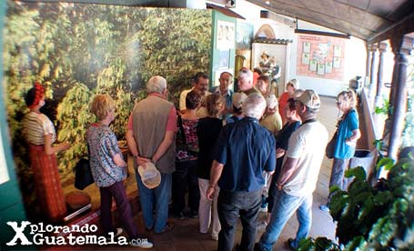 Centro Cultural y Museo La Azotea / foto 5