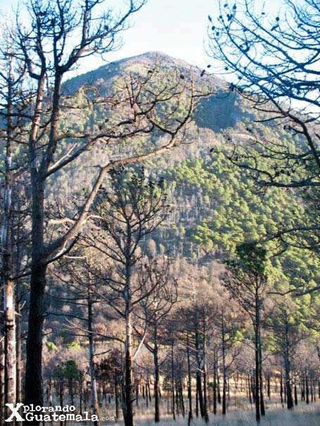 Cima del volcán de Fuego / foto 4