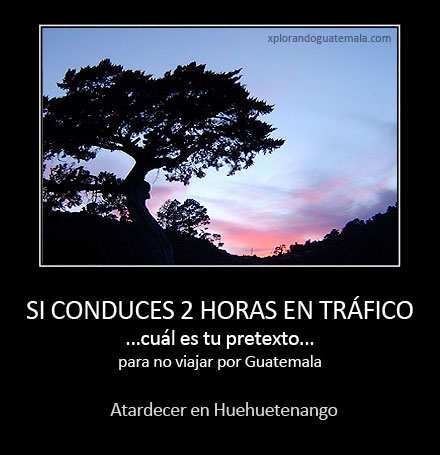 Cuánto tiempo conduces en la ciudad