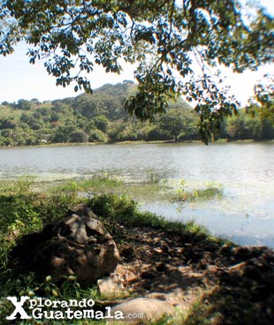 Laguna Monja Blanca / foto 4