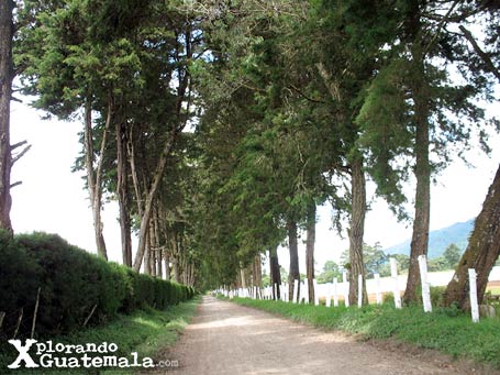 Laguna en Finca Cienaguilla / foto 4