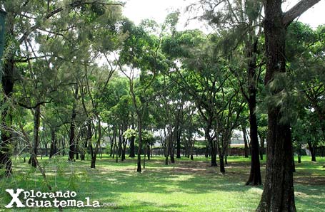 Mapa en Relieve, Ciudad de Guatemala / foto 3