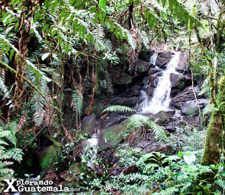 Ram Tzul Espíritu de la Montaña / foto 7