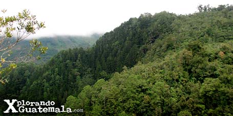 Ram Tzul Espíritu de la Montaña / foto 9