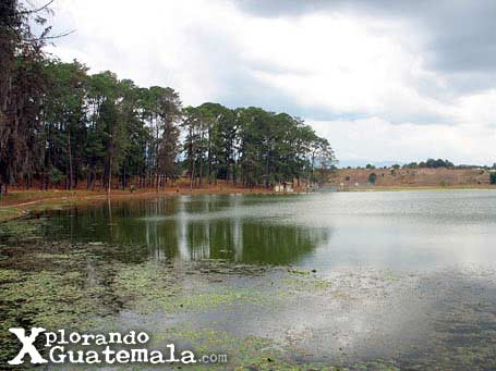 Revisitando la Laguna de Lemoa