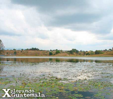 Revisitando la Laguna de Lemoa / foto 2