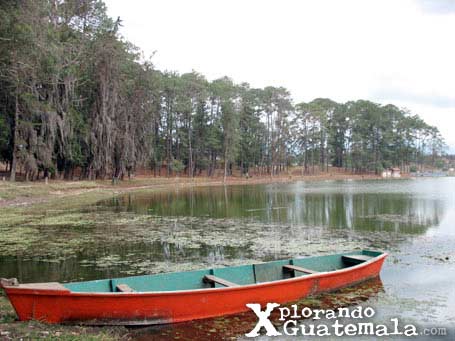 Revisitando la Laguna de Lemoa / foto 3