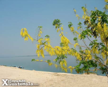 San José Petén / foto 2