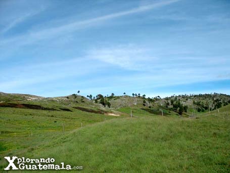 Una alfombra de flores en Laguna Magdalena / foto 2