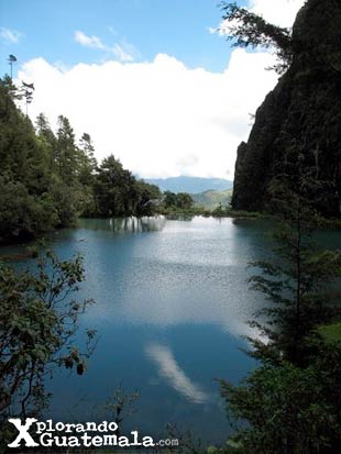 Una alfombra de flores en Laguna Magdalena / foto 4