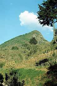 Pico de Palencia. Foto cortesía de fotosdeguatemala.com Pico de Palencia. Foto cortesía de fotosdeguatemala.com