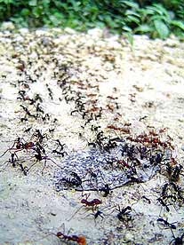 Foto: Héctor Roldán. Foto: Héctor Roldán.